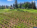 17135 Herigstad Rd - Photo 44