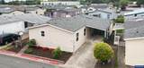1000 Mckern - Photo 32