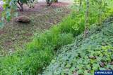 450 Lacreole (#148) - Photo 35