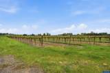 0 Yamhill - Photo 11