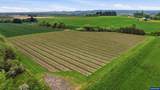 0 Yamhill - Photo 3