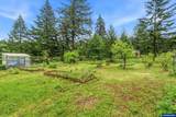 29047 Harvey Ln - Photo 49