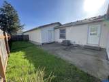 4445 Blueberry (-4455) Ln - Photo 38