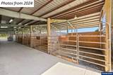 12430 Oak Grove Rd - Photo 15