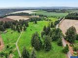 1739 Silver Falls - Photo 10