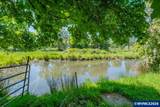 35377 Ede Rd - Photo 33