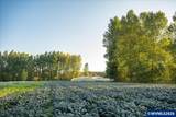 25159 Grange Hall Rd - Photo 48