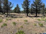 13330 Airstrip - Photo 13