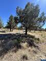 13330 Airstrip - Photo 16
