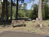 70452 Bear Creek - Photo 26