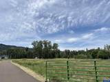 70452 Bear Creek - Photo 6