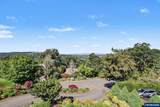 3228 Sunridge Dr - Photo 45