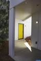 32903 Wildrose Dr - Photo 8