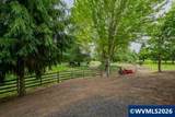 32748 Boston Mill Dr - Photo 33