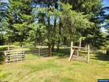 1401 Reuben Boise Rd - Photo 9