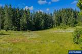 41388 Keel Mountain - Photo 14