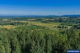 41388 Keel Mountain - Photo 15