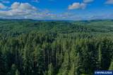 41388 Keel Mountain - Photo 16