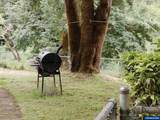20800 Alsea Hwy - Photo 9