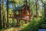 10102 Liberty Rd - Photo 38