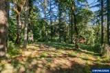 10102 Liberty Rd - Photo 44