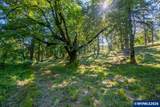 10102 Liberty Rd - Photo 48