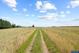 9931 Highway 211 - Photo 38