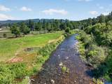 41638 Fish Hatchery - Photo 10