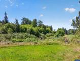 41638 Fish Hatchery - Photo 5