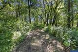 TA 0045886 Santiam - Photo 4