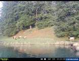 27085 Greenville Rd - Photo 45