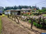 5724 Anderson Rd - Photo 22
