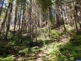 Lot 900 & 1000 Santiam - Photo 25