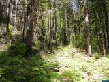 Lot 900 & 1000 Santiam - Photo 27