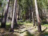 Lot 900 & 1000 Santiam - Photo 29