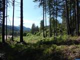 Lot 900 & 1000 Santiam - Photo 34