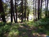 Lot 900 & 1000 Santiam - Photo 41