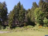 Lot 900 & 1000 Santiam - Photo 9
