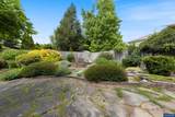 310 Foxglove St - Photo 46