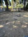 531 Riverview - Photo 4