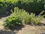 1055 Lockhaven - Photo 7