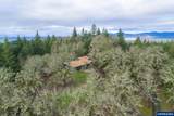 24869 Gap Rd - Photo 6