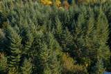 4204 Riverdale Rd - Photo 23