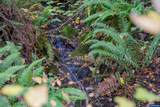4204 Riverdale Rd - Photo 29