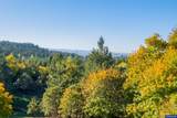 4204 Riverdale Rd - Photo 8