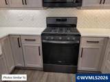 Model T Coast Mountain Dr - Photo 23