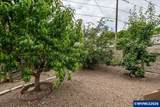 1023 Josephine St - Photo 30