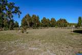 995 Belle Passi - Photo 20