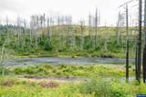 35220 North Santiam Hwy - Photo 12