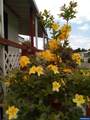 340 Crest St #49 - Photo 4